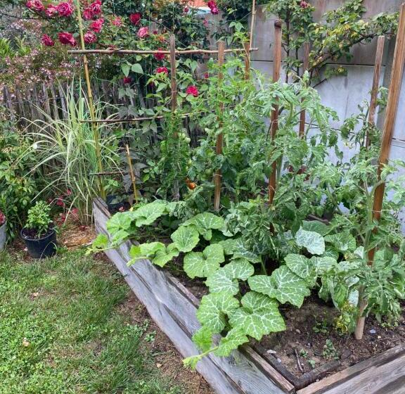 Bed and Breakfast Céline Et Olivier