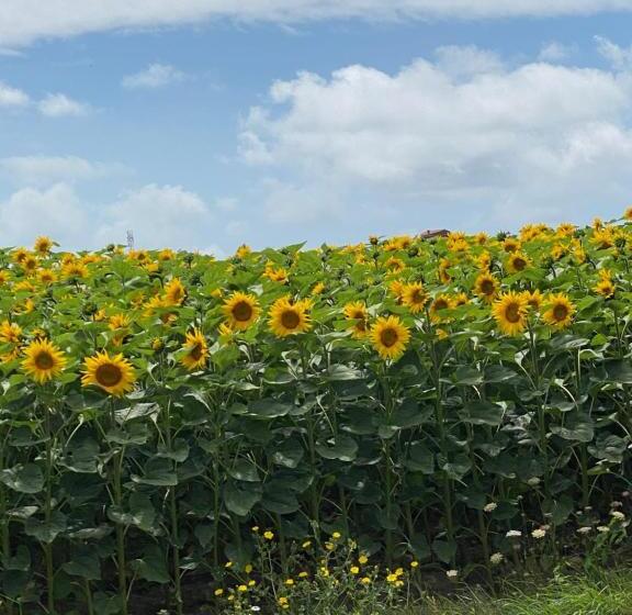 Bed and Breakfast Céline Et Olivier