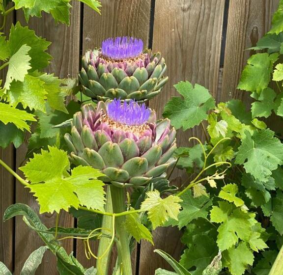 Bed and Breakfast Céline Et Olivier