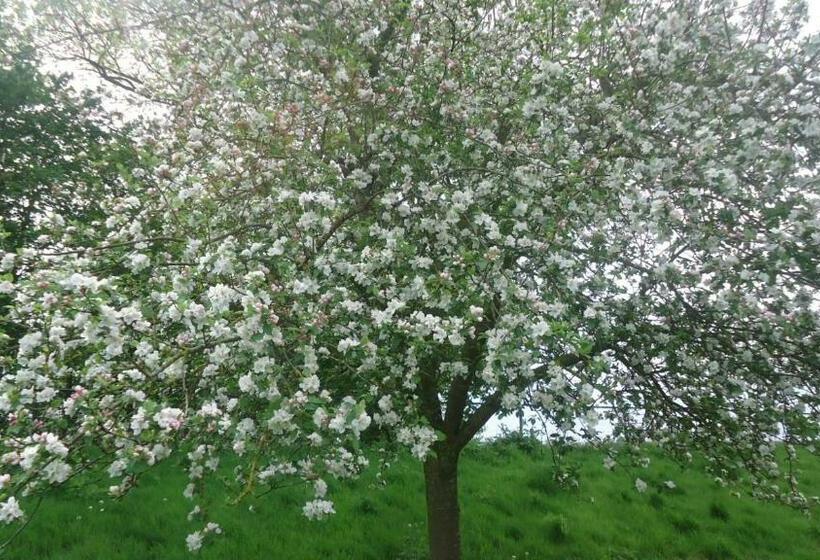 צימר Klein Vreugderijk