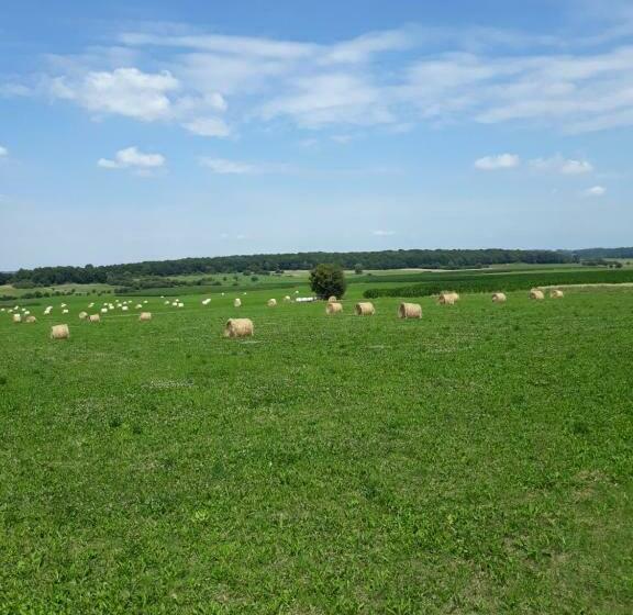 민박 La Fleur Et Le Soleil