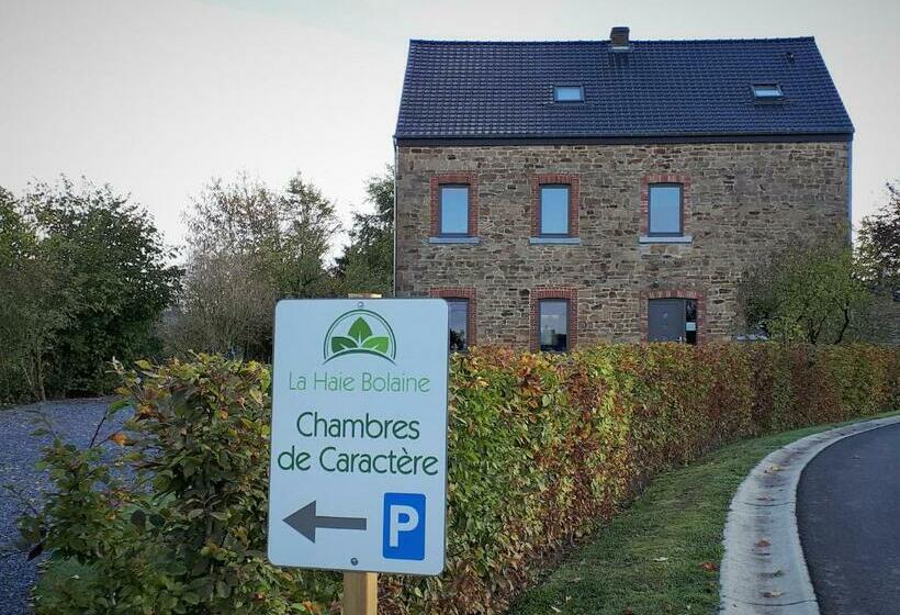 مبيت وإفطار La Haie Bolaine