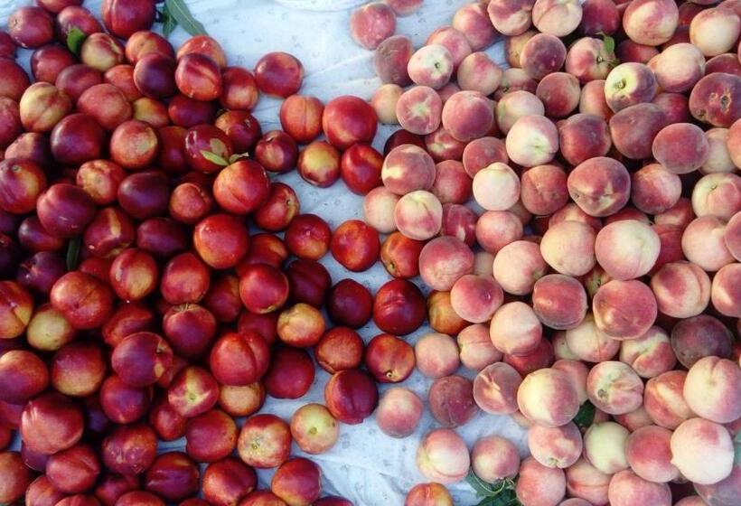 호텔 Agriturismo Fior Di Maggio