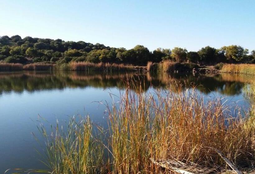 בית מלון כפרי Agriturismo Sa è Padedda
