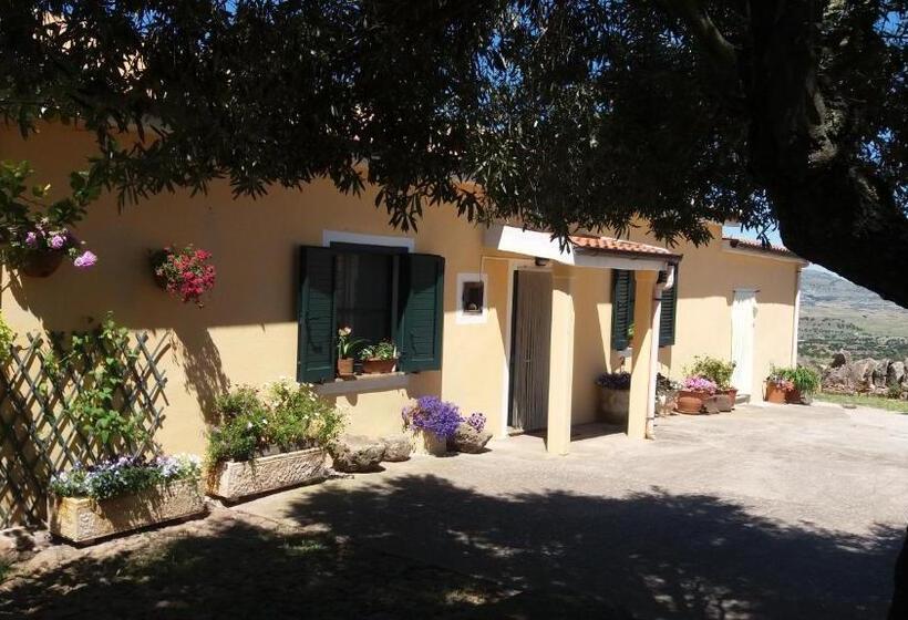 בית מלון כפרי Agriturismo Sa è Padedda
