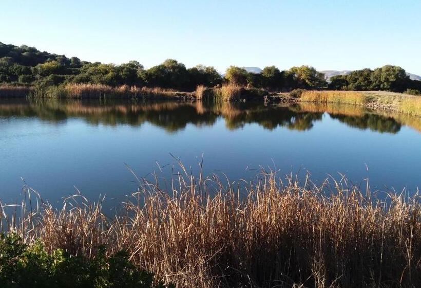 בית מלון כפרי Agriturismo Sa è Padedda