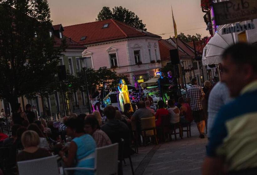 هتل Dvorec Trebnik Sobe