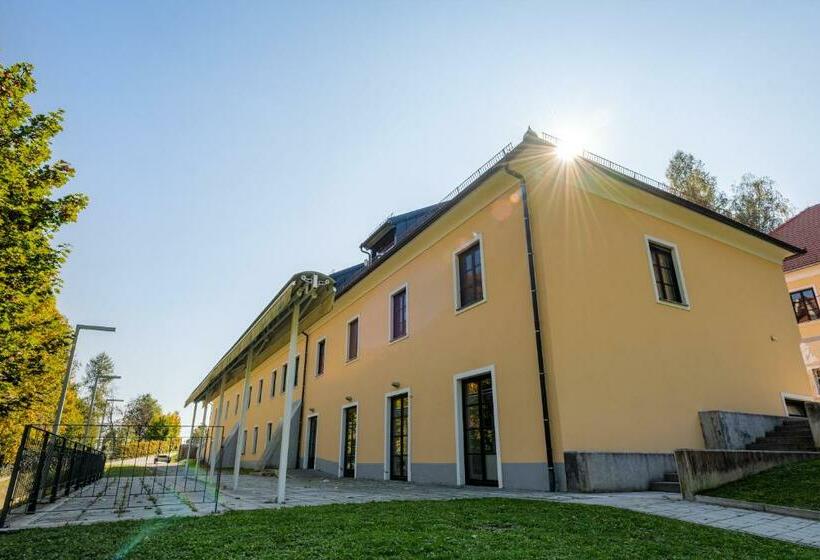 هتل Dvorec Trebnik Sobe