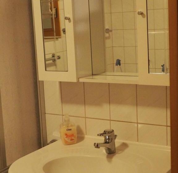 酒店 Haflingerhof Appenstein