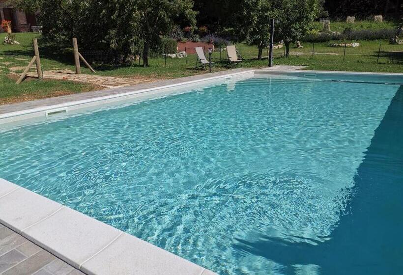 בית מלון כפרי La Sorgente Del Radicino