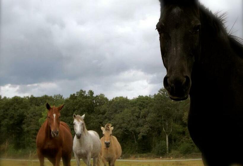 בית מלון כפרי Les Anniquins