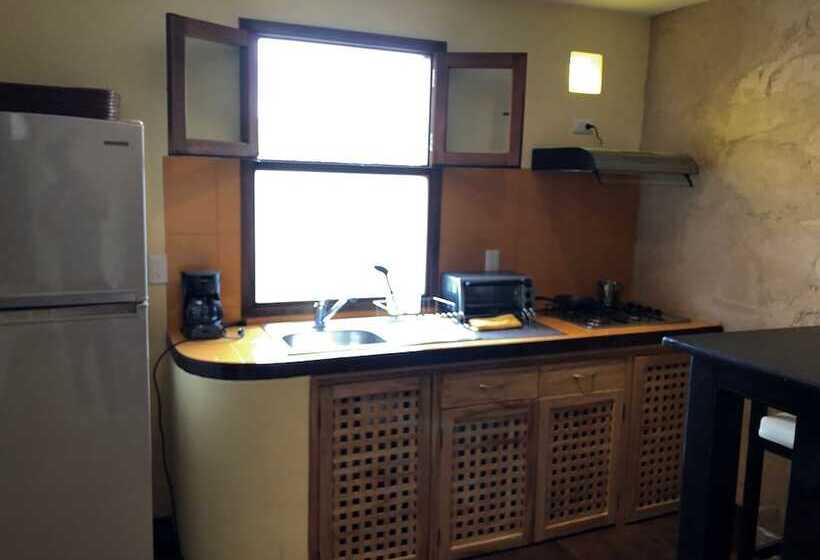 Отель Magnolias Boutique Suites & Spa