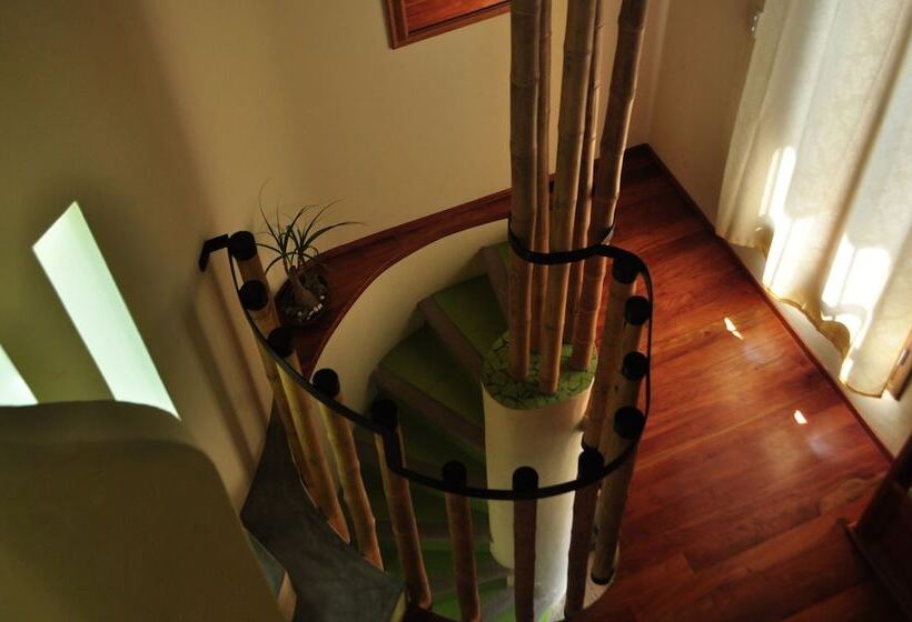 Отель Magnolias Boutique Suites & Spa