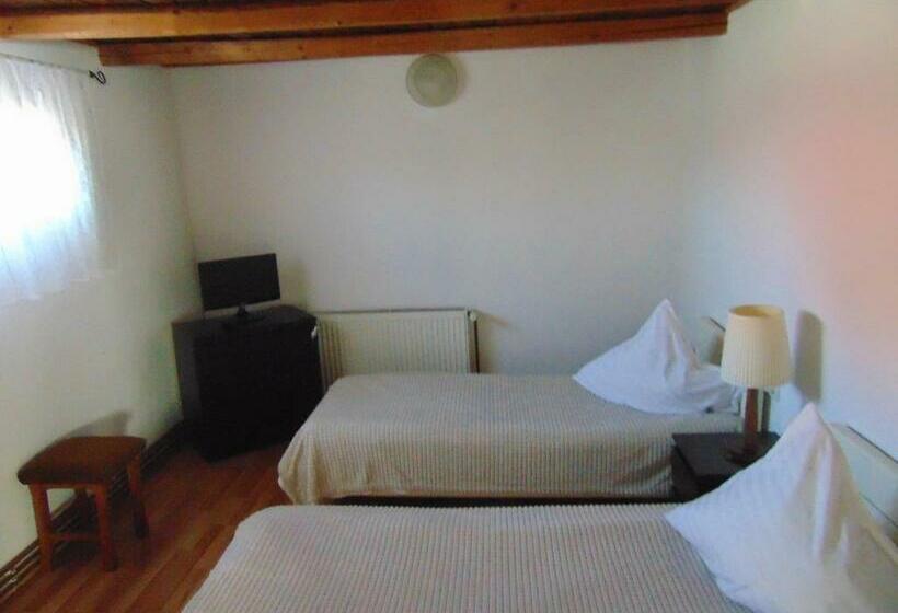 בית מלון כפרי Pensiunea Amo