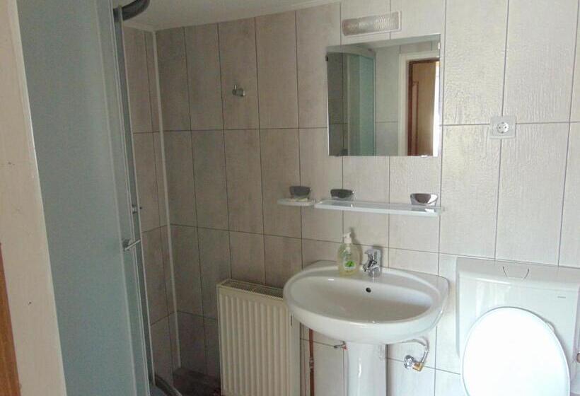 בית מלון כפרי Pensiunea Amo