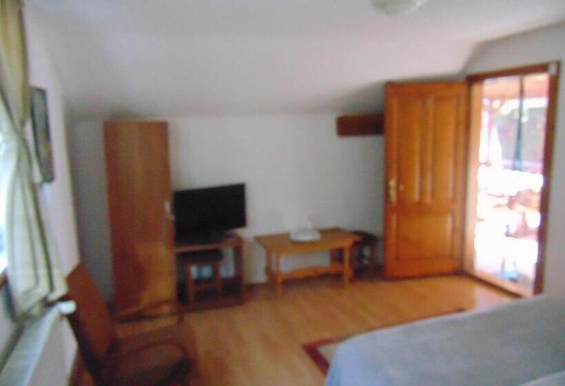 בית מלון כפרי Pensiunea Amo