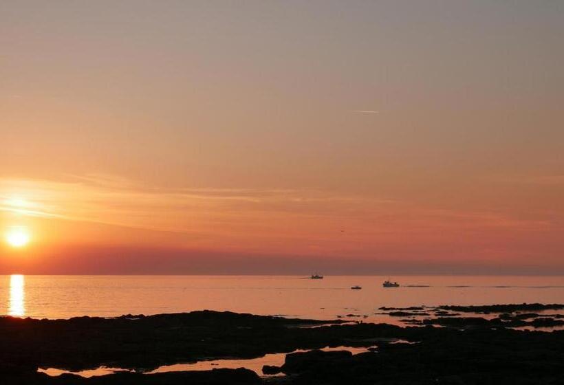 بنسيون Appartement Roc H Avel   Front De Mer, Vue Sur Mer Et Jardin Ensoleillé Sans Vis à Vis