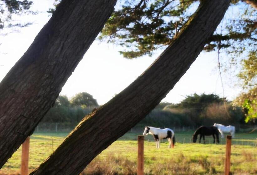 بنسيون Appartement Roc H Avel   Front De Mer, Vue Sur Mer Et Jardin Ensoleillé Sans Vis à Vis