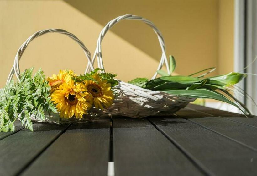 펜션 Areal De Santa Bárbara Guest House