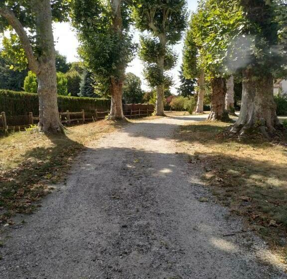 פנסיון Au Cocon De Sologne