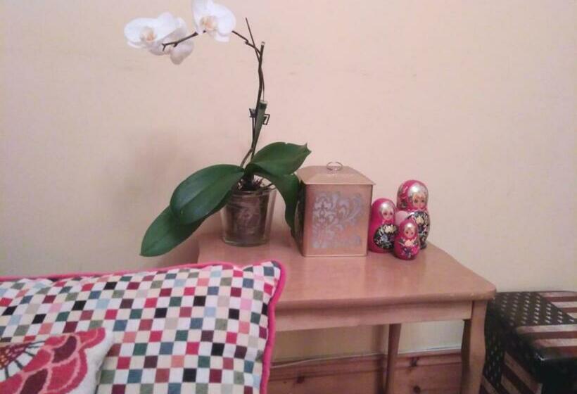 بنسيون Big Bright Room