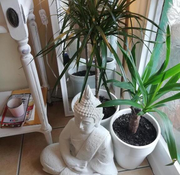 بنسيون Big Bright Room