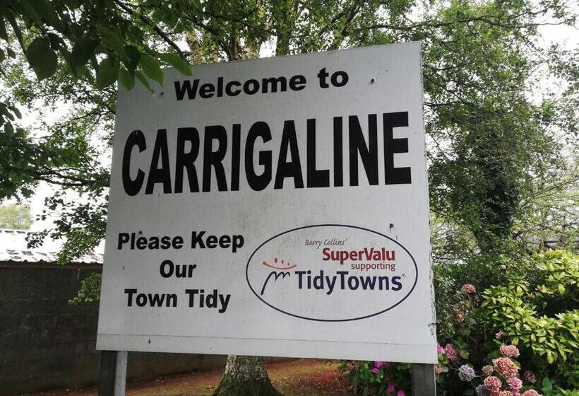 פנסיון Big Bright Room