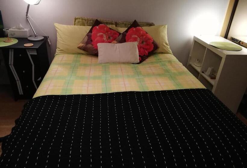 بنسيون Big Bright Room