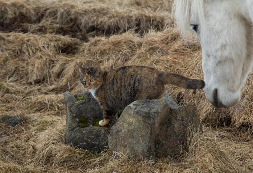 پانسیون Mjóanes Accommodation