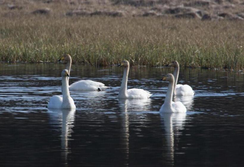 پانسیون Mjóanes Accommodation