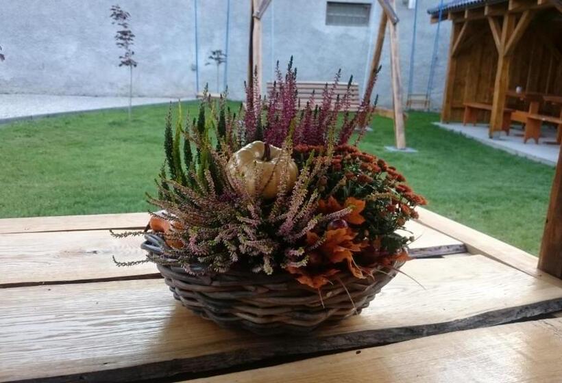 ペンション Penzión Vian