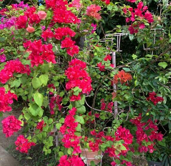 پانسیون Powers  Holiday Vacations