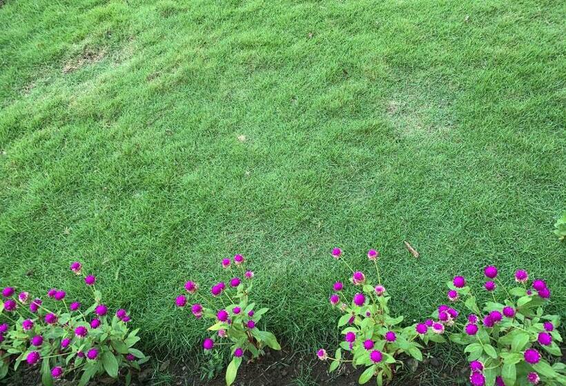 بنسيون Powers  Holiday Vacations