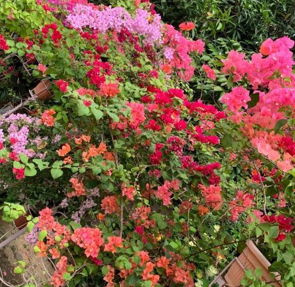 پانسیون Powers  Holiday Vacations