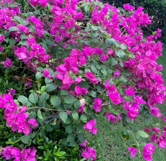 پانسیون Powers  Holiday Vacations