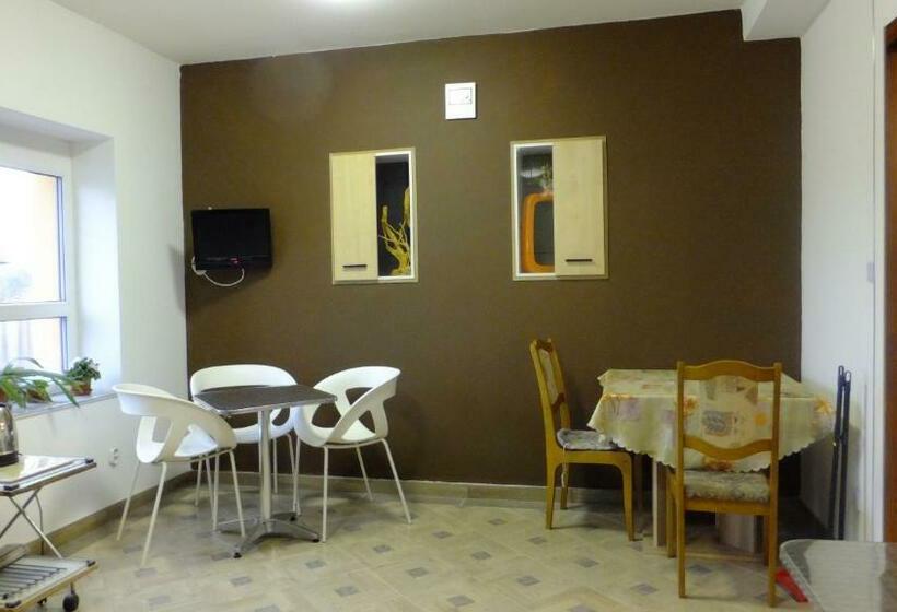 פנסיון Rezidence Jiskra