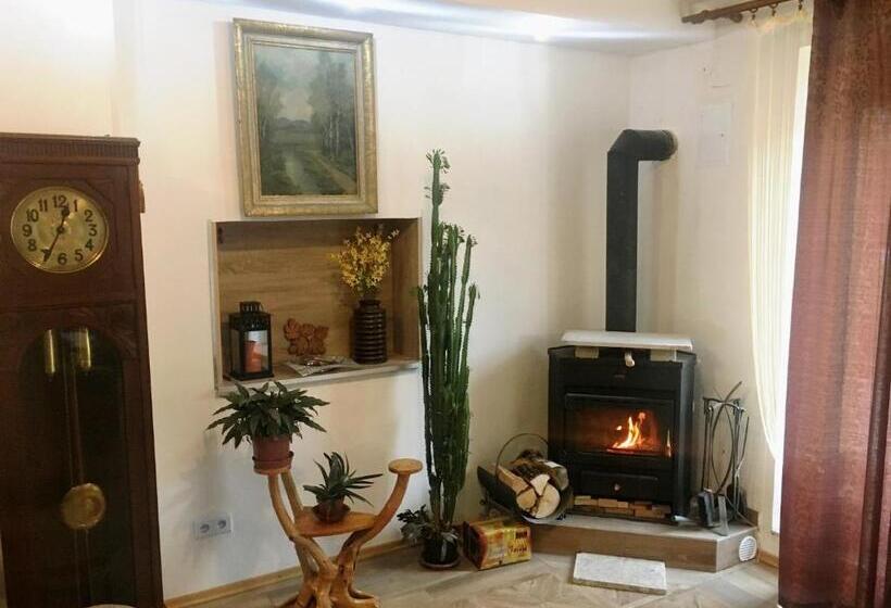 פנסיון Rezidence Jiskra