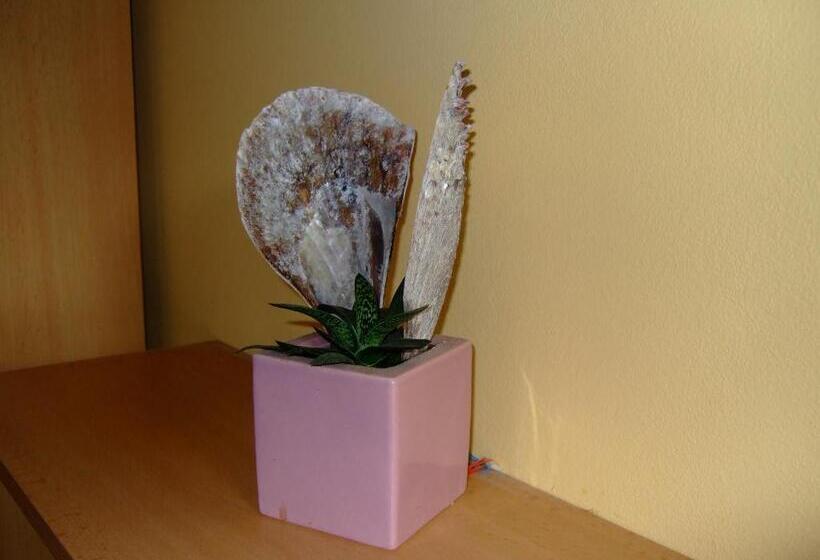 פנסיון Rezidence Jiskra