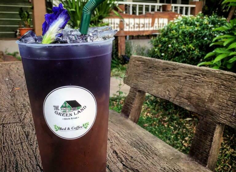 بنسيون The Green Land