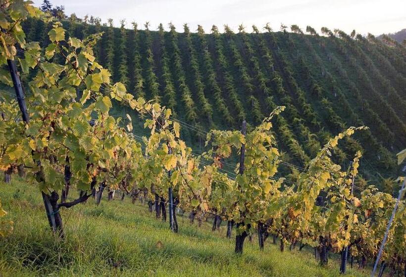 膳宿费 Weingut Tauss