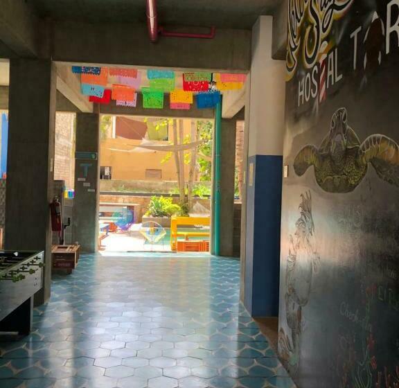 旅馆 Hostal Tortuga