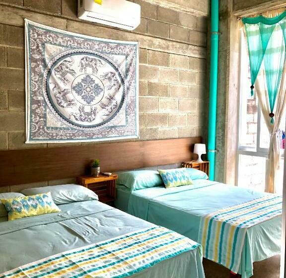 旅馆 Hostal Tortuga