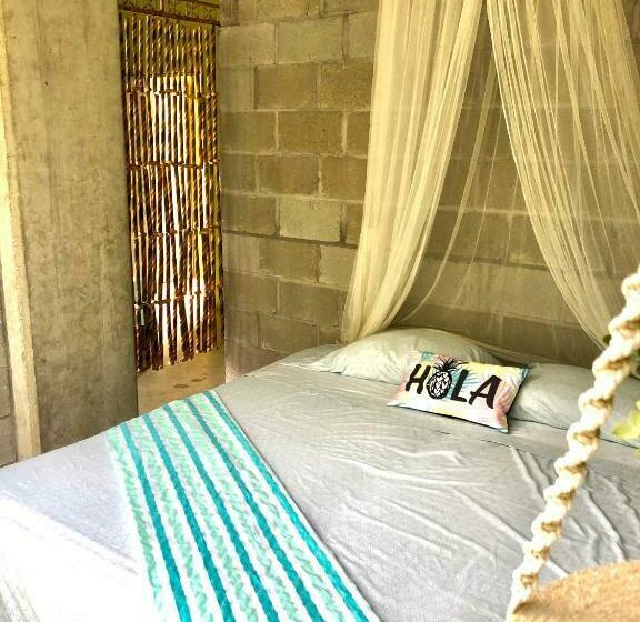 旅馆 Hostal Tortuga