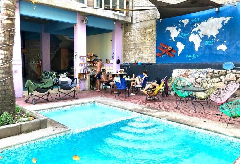 旅馆 Hostal Tortuga