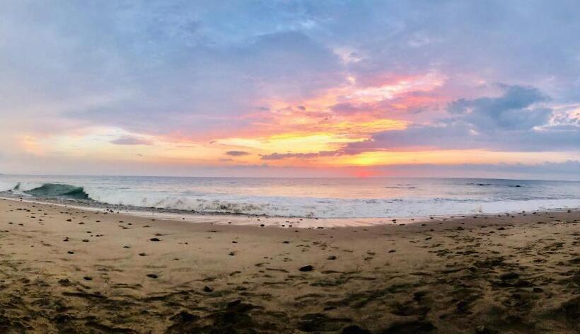 旅馆 Hostal Tortuga