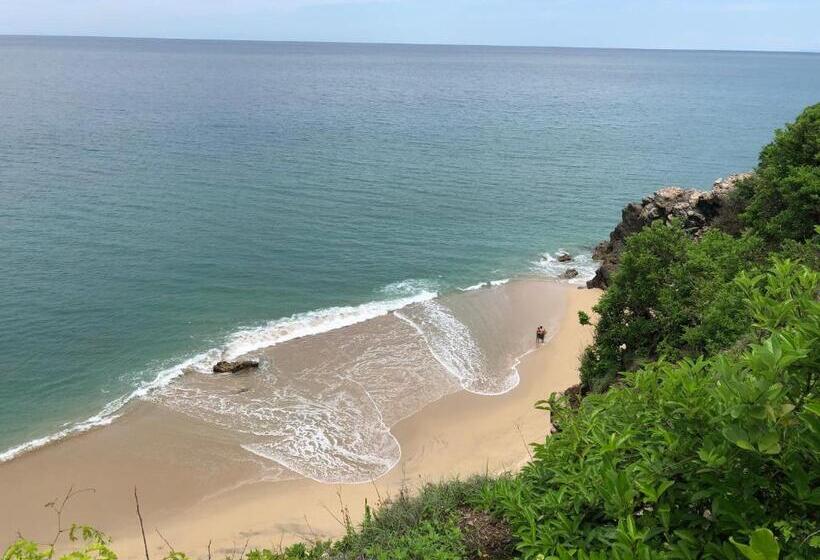 旅馆 Hostal Tortuga