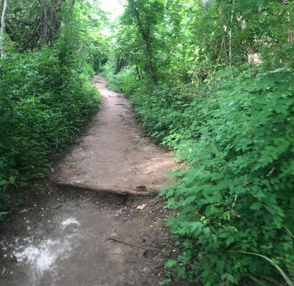 旅馆 Hostal Tortuga