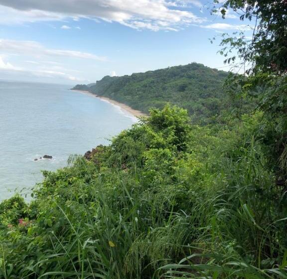 旅馆 Hostal Tortuga