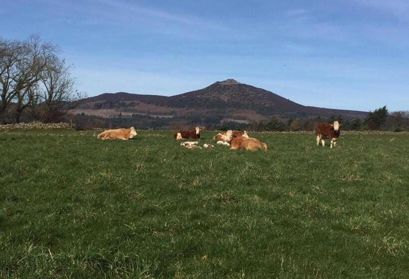 ベッドアンドブレックファースト Broadsea