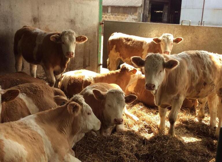 ベッドアンドブレックファースト Broadsea